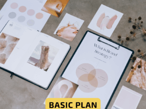 Brand Kit - Basic Plan