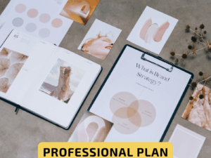 Brand Kit - Professional Plan